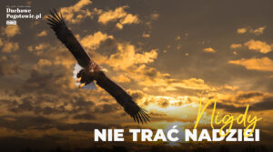 Read more about the article Niegasnąca nadzieja w trudnych chwilach